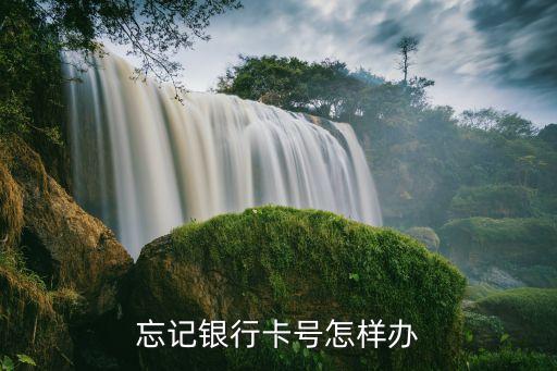 銀行卡帳號忘記了怎么辦，忘記銀行卡號怎樣辦