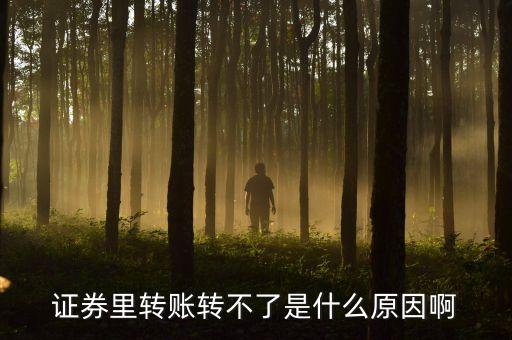 證券里轉(zhuǎn)賬轉(zhuǎn)不了是什么原因啊