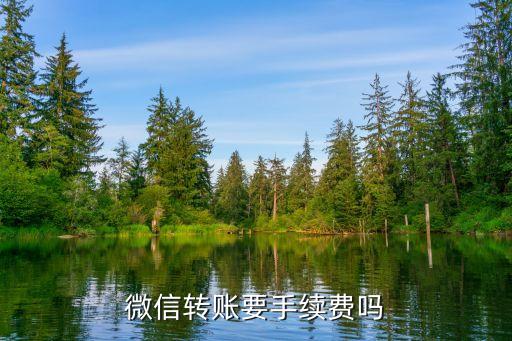 微信轉張怎么收費標準，現(xiàn)在微信轉賬收費
