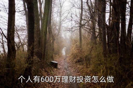 600萬人民幣怎么理財(cái)，個(gè)人有600萬理財(cái)投資怎么做