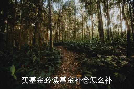 基金補(bǔ)倉(cāng)怎么補(bǔ)，基金怎么補(bǔ)倉(cāng)拉低成本