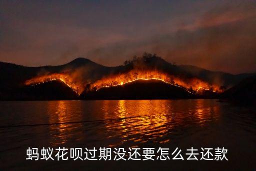 花唄逾期一年怎么還款，螞蟻花唄逾期一年怎么還款一直說不符合開通條件