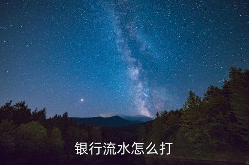 銀行流水怎么打