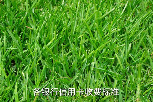 各銀行信用卡收費(fèi)標(biāo)準(zhǔn)