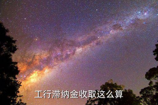 工行滯納金收取這么算