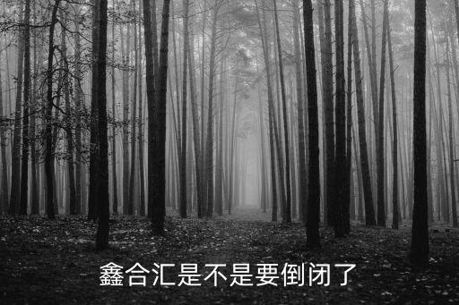 鑫合匯倒閉怎么辦，鑫合匯錢能不能還上
