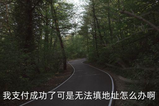 我支付成功了可是無法填地址怎么辦啊