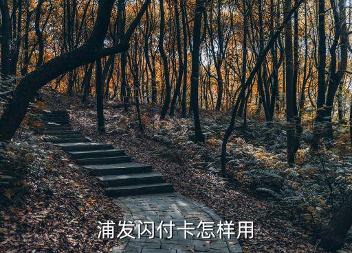 浦發(fā)閃付卡怎樣用