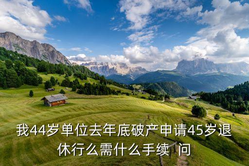 我44歲單位去年底破產(chǎn)申請45歲退休行么需什么手續(xù)  問