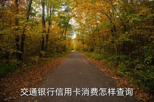 交通銀行信用卡消費(fèi)記錄怎么查，怎樣查詢交通銀行信用卡消費(fèi)明細(xì)