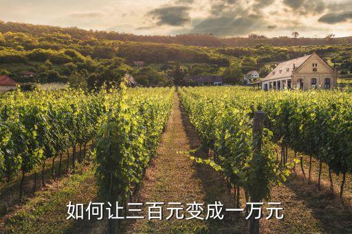 如何讓三百元變成一萬(wàn)元