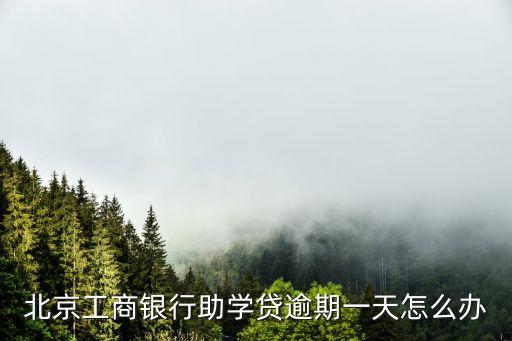 北京工商銀行助學(xué)貸逾期一天怎么辦