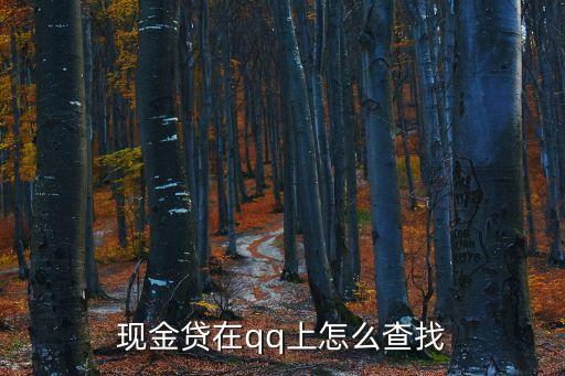 現(xiàn)金貸在qq上怎么查找