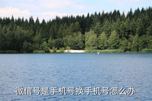 更換新號碼怎么辦，電話號碼換了怎么辦