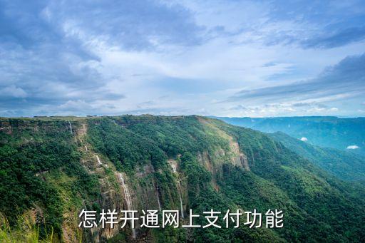 怎樣開通網(wǎng)上支付功能