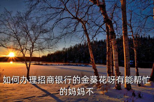 如何辦理招商銀行的金葵花呀有能幫忙的媽媽不