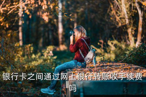銀行卡之間通過網(wǎng)上銀行轉(zhuǎn)賬收手續(xù)費(fèi)嗎
