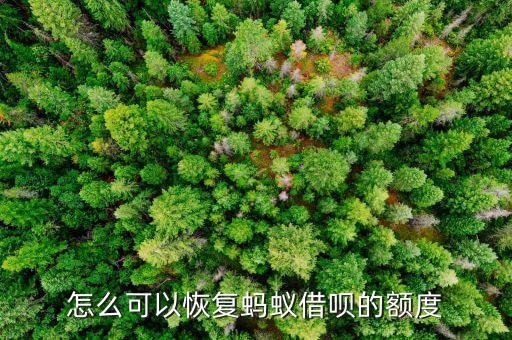 怎么可以恢復(fù)螞蟻借唄的額度