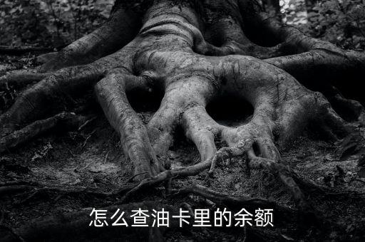怎么查油卡里的余額