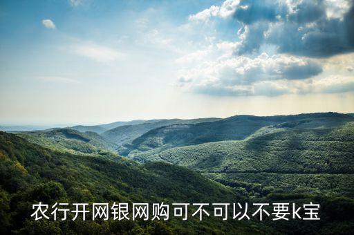 農(nóng)行開網(wǎng)銀網(wǎng)購可不可以不要k寶