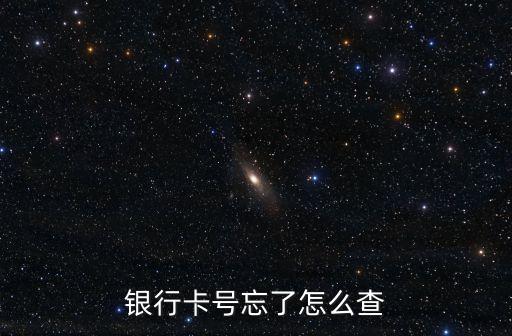 銀行卡號忘了怎么查