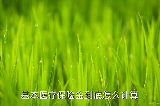基本醫(yī)療保險金到底怎么計算