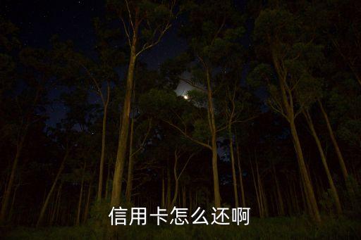 信用卡透支還款怎么還，信用卡透支怎么還吖