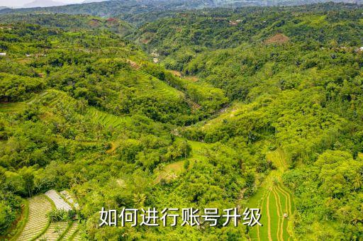 國海證券帳號怎么升級，A1200怎么升級