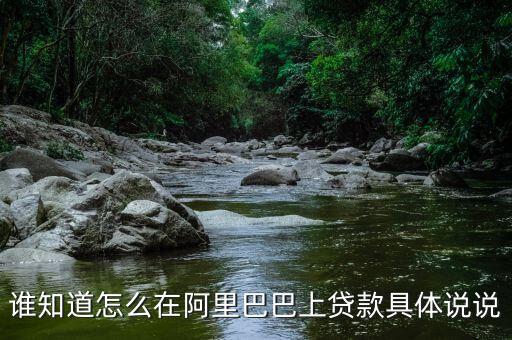 誰知道怎么在阿里巴巴上貸款具體說說