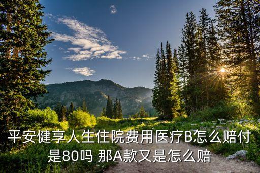 平安住院費(fèi)用b怎么報(bào)，平安健享人生住院費(fèi)用醫(yī)療B怎么賠付是80嗎 那A款又是怎么賠