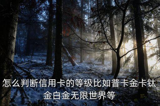 怎么判斷信用卡的等級(jí)比如普卡金卡鈦金白金無(wú)限世界等