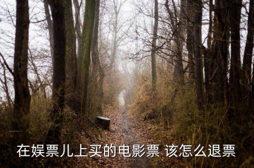 在娛票兒上買的電影票 該怎么退票