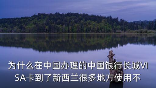 為什么在中國(guó)辦理的中國(guó)銀行長(zhǎng)城VISA卡到了新西蘭很多地方使用不