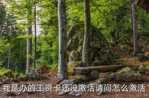 我是辦的工資卡還沒(méi)激活請(qǐng)問(wèn)怎么激活