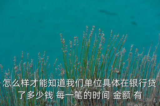 怎么樣才能知道我們單位具體在銀行貸了多少錢 每一筆的時間 金額 有