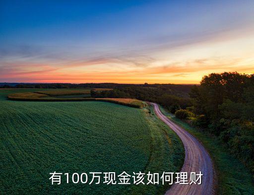 有100萬現(xiàn)金該如何理財