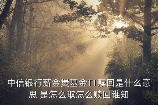 怎么贖回申購薪金寶，中信銀行薪金煲基金T1贖回是什么意思 是怎么取怎么贖回誰知