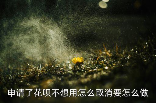 申請了花唄不想用怎么取消要怎么做