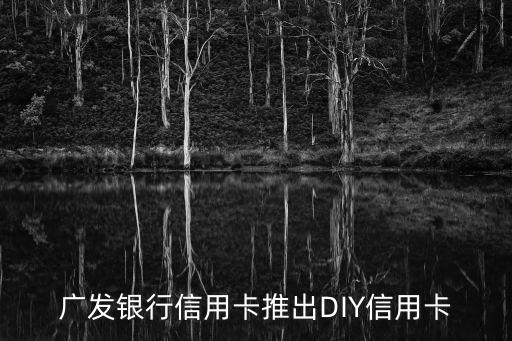 廣發(fā)diy卡怎么刷，廣發(fā)DIY信用卡使用指南