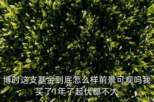 博時這支基金到底怎么樣前景可觀嗎我買了1年了起伏都不大