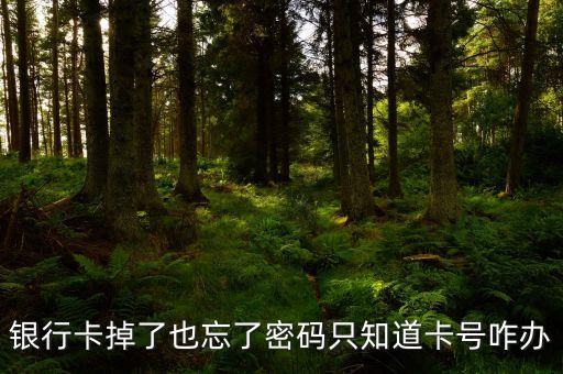 銀行卡掉了也忘了密碼只知道卡號(hào)咋辦