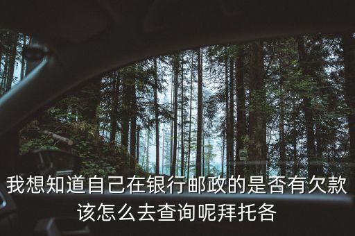 我想知道自己在銀行郵政的是否有欠款該怎么去查詢呢拜托各