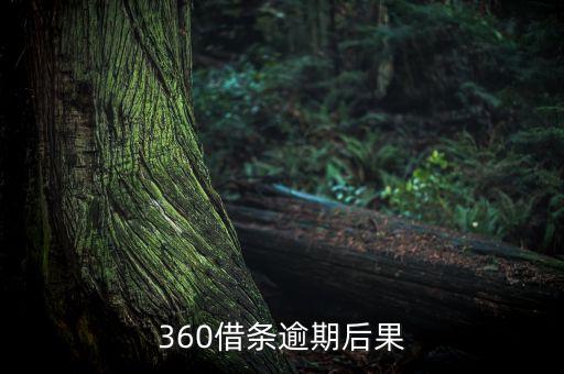 360借條逾期后果