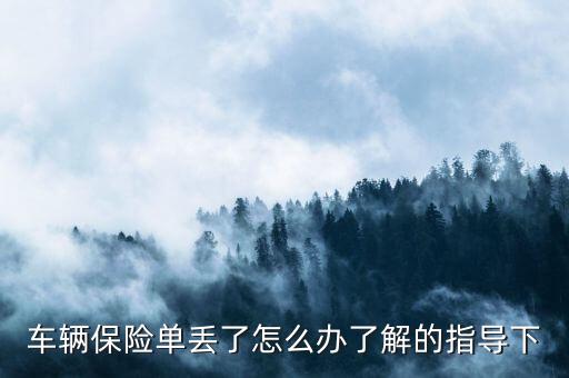 車輛保險(xiǎn)單丟了怎么辦了解的指導(dǎo)下