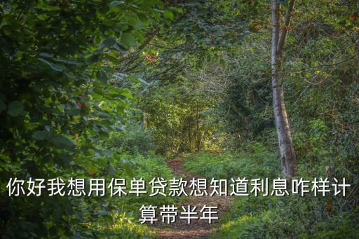 你好我想用保單貸款想知道利息咋樣計算帶半年