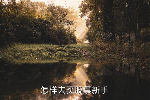 新手應該怎么買股票，新手如何購買股票