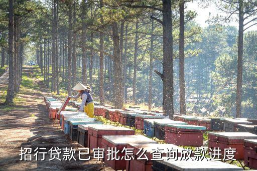 e招貸怎么查進度確認，微信申請的e招貸怎么看進度