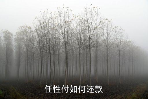任性付臨時額度怎么還，在蘇寧易購上使用任性付后如何進(jìn)行還款
