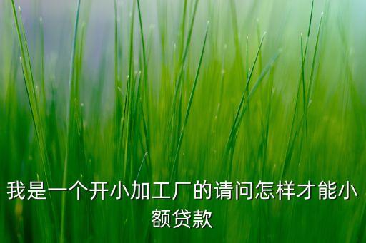 我是一個(gè)開小加工廠的請(qǐng)問怎樣才能小額貸款