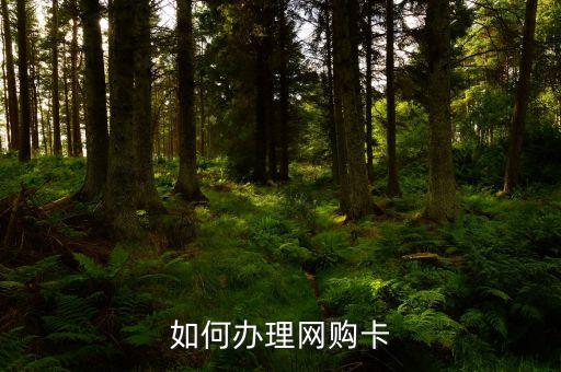 怎么辦理網(wǎng)購(gòu)卡，怎么辦網(wǎng)上購(gòu)物卡